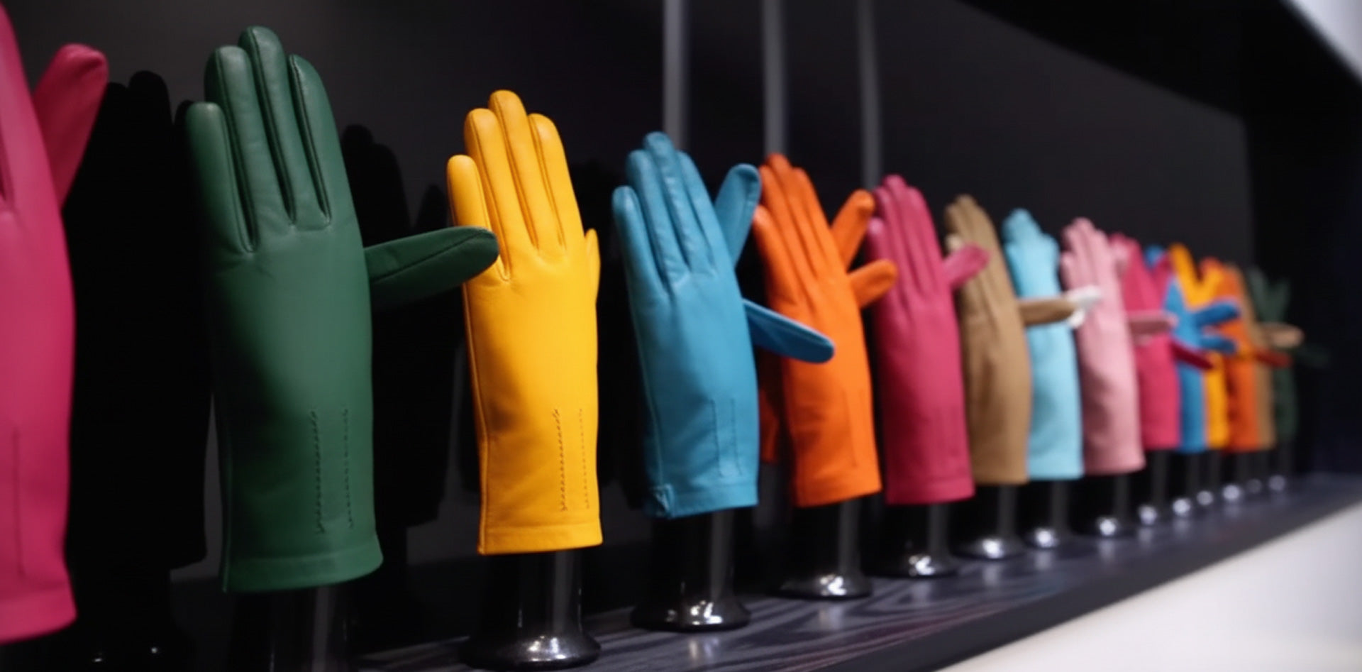Our Colors – Sermoneta Gloves